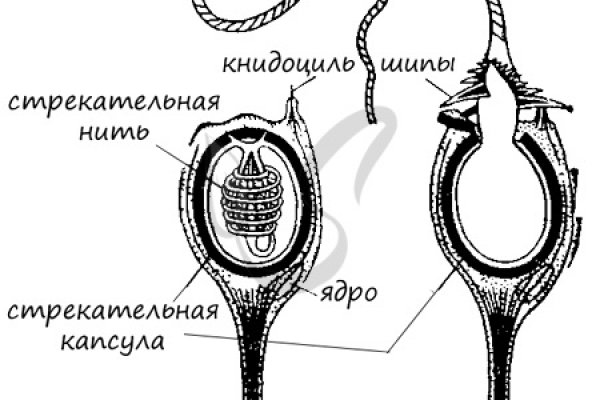 Кракен торговая площадка