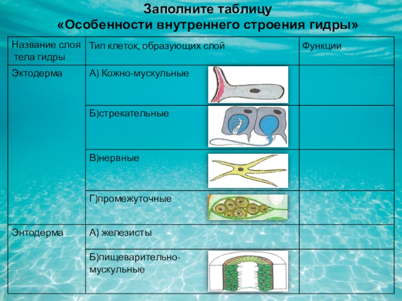 Кракен зарегистрироваться